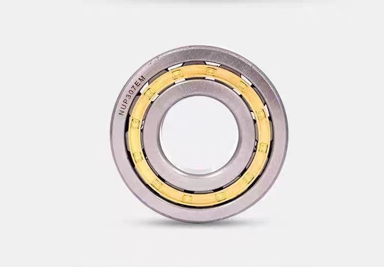 Τύπος σφραγίδων OEM NF305ETN1 NF305M NU305M Κύλινδρος ρουλεοφόρος NU305 ρουλεοφόρος